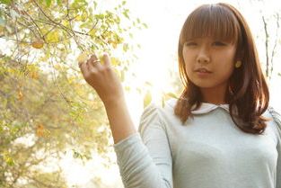 ia_100028128.jpg