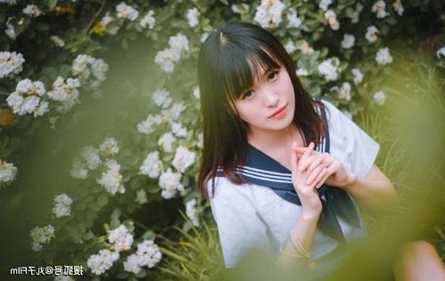 ia_100000267.jpg