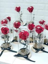 images - 2022-03-06T202627.609.jpg