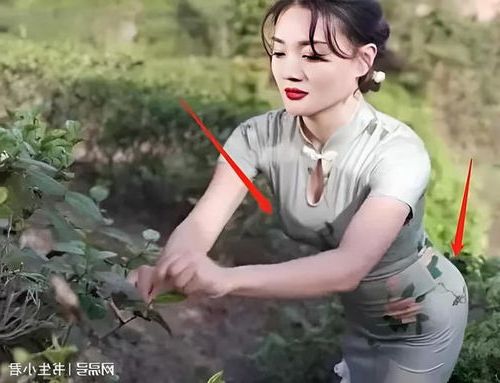 10081.jpg