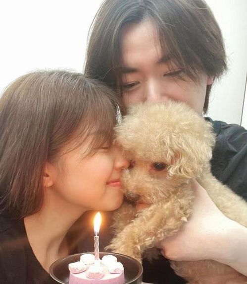 叶天生何文婧免费小说官样畅读整本